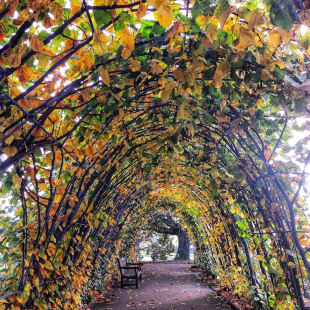 autunno-a-londra-info-consigli-viaggio-londra-following-your-passion-hyde-park-royal-garden.jpg
